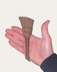 Coconut brush