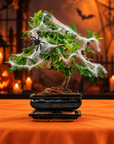 Carmona katachi (halloweense editie)