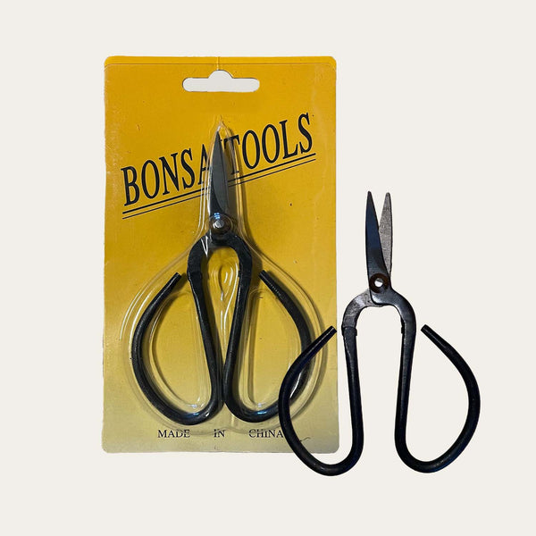 Small Bonsai Scissors